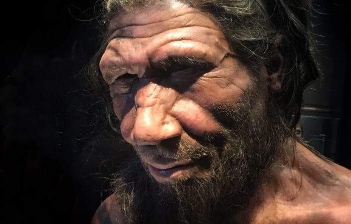 Neanderthals Died Out Later Than Previously Believed - Opposing Views