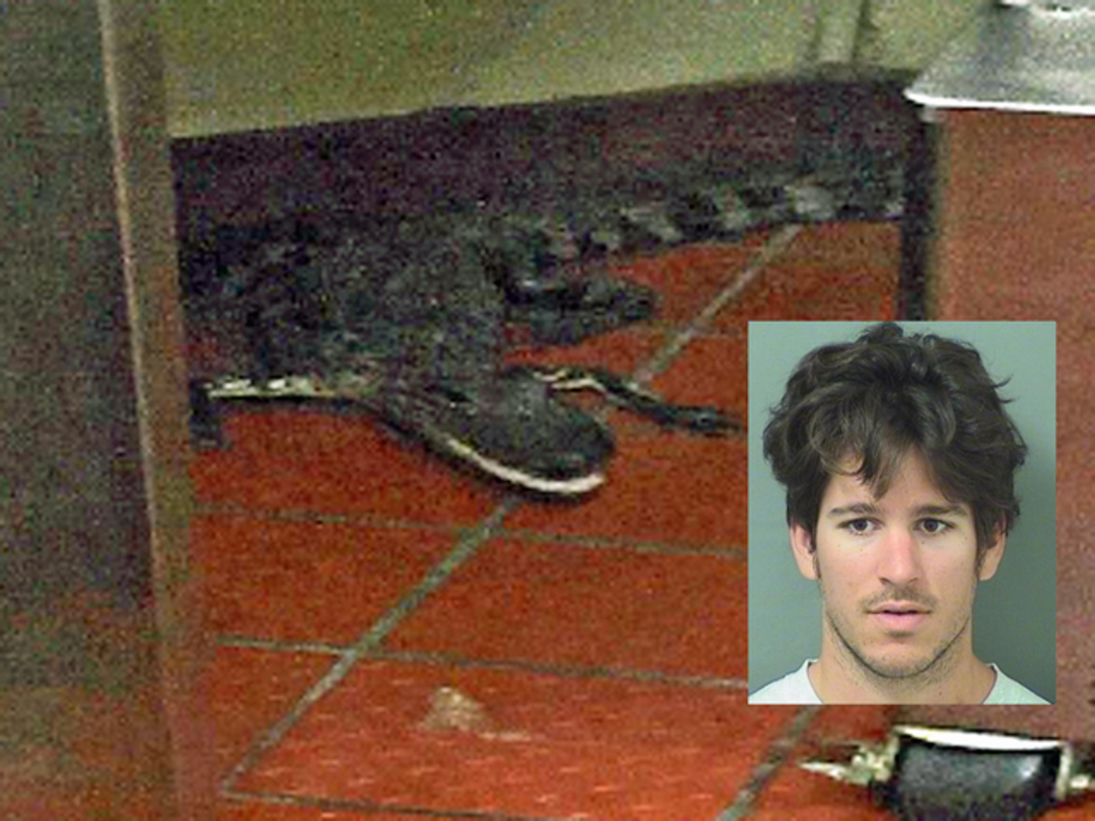 Man Throws Alligator Into Wendy's Drive-Thru Window - Opposing Views