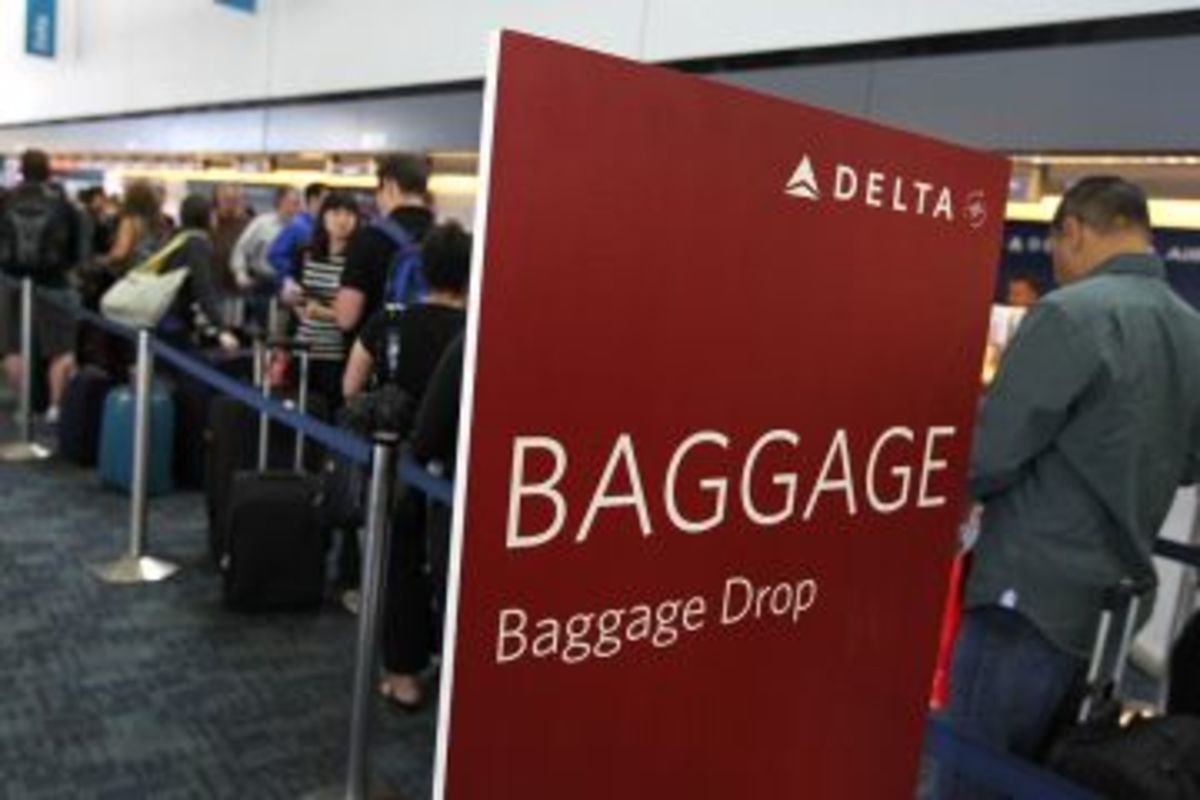 delta add baggage