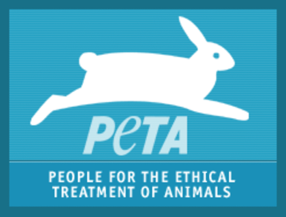 peta-animal-cruelty-erofound