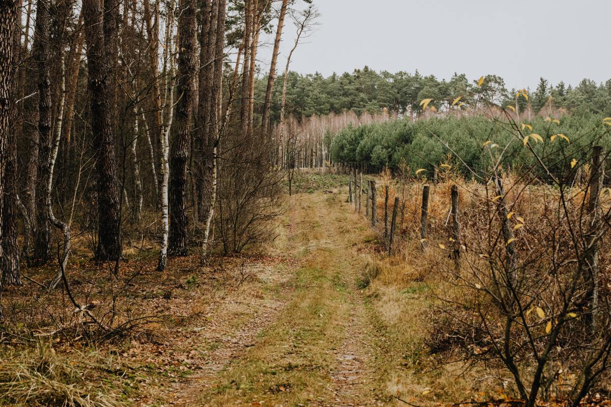 Walking trail in a rural setting (for illustrative purposes), Photo Credit: Pexels