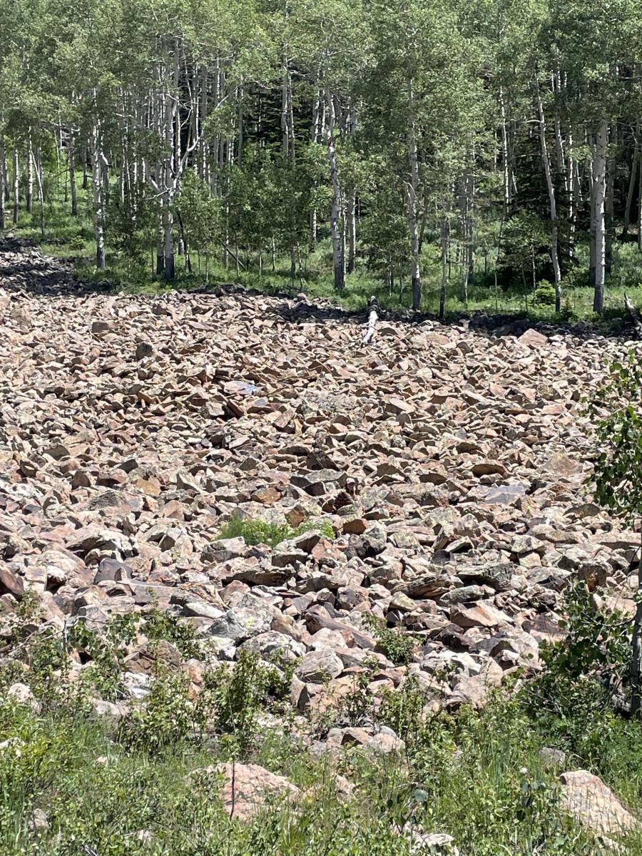 Viral photo of a rocky natural landscape with a woman camouflaged in the setting, Photo Credit: Reddit