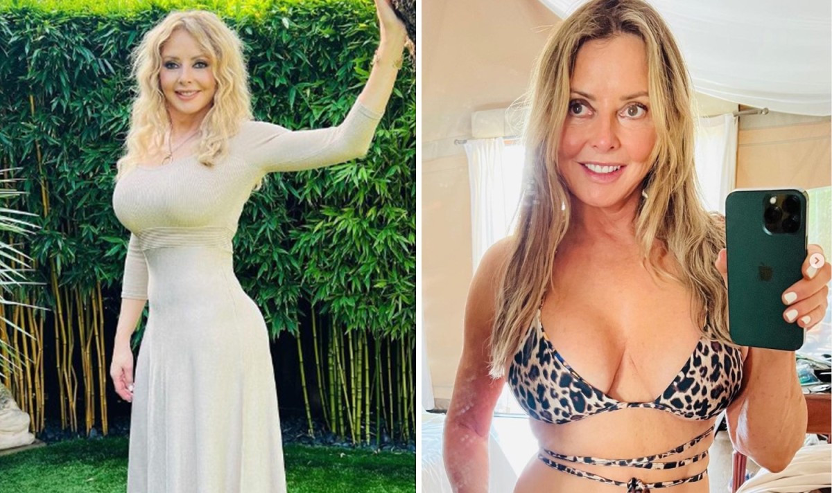 Photos of Carol Vorderman flouting her envious figure, Photo Credit: Daily Express/X