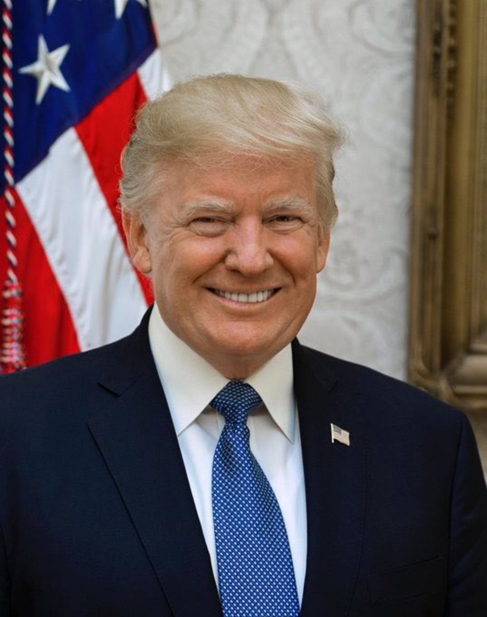 President Trump's official portrait from his first presidential term, Photo Credit: Pop Base/X