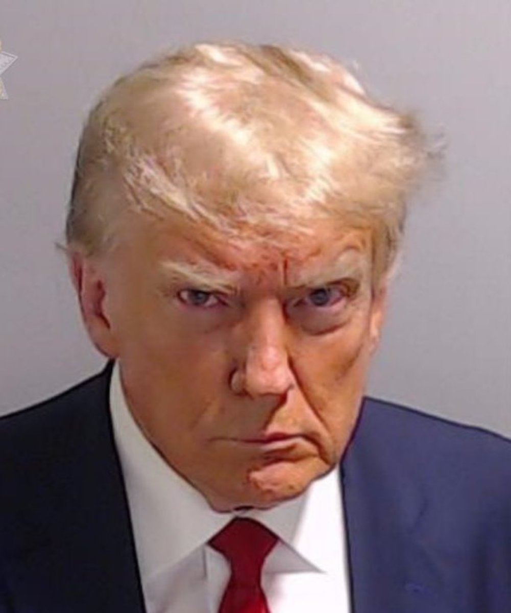 President Trump's infamous mugshot, Photo Credit: RT/X