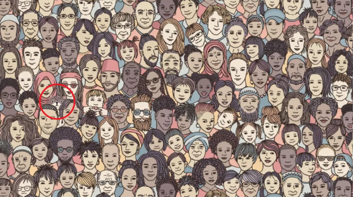 A brainteaser illustration of a crowd of people's faces with the hidden cat circled (middle, left), Photo Credit: Reddit